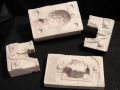 tortoise mold 1