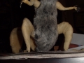 Stop motion squirrel fabrication